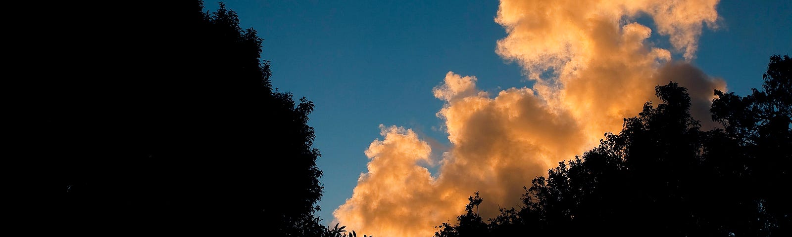 A photo of orange-lit clouds in a blue sky.