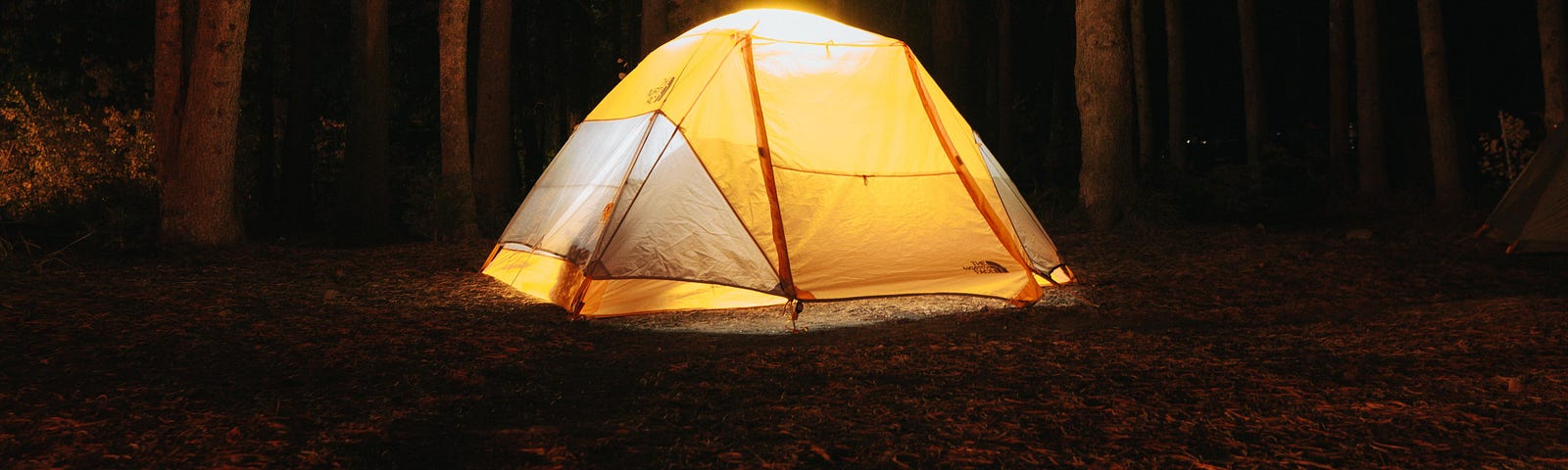 Tent in the forest in the night.