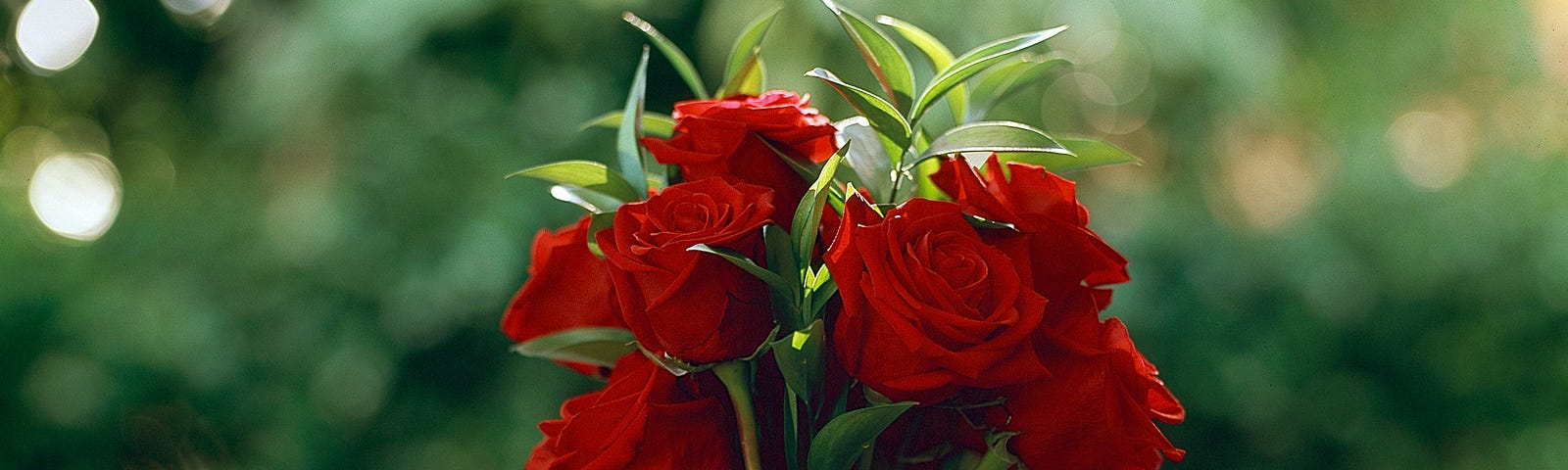 Unsplash photograph. Foreground: a bouquet of red roses in a jar, with a horseshoe resting against the jar. Background: lush green foliage, out of focus.