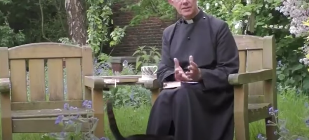 A priest sits in a lovely garden as a cat approaches him