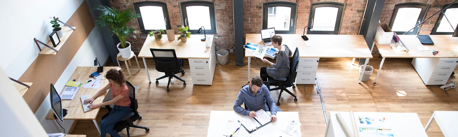 Office workers at their desks in a modern office. Half of the desks are filled, while the other half are empty.