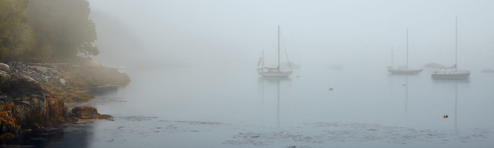 Sailboats suspended in fog as autumn foliage bathes the Maine coastline.
