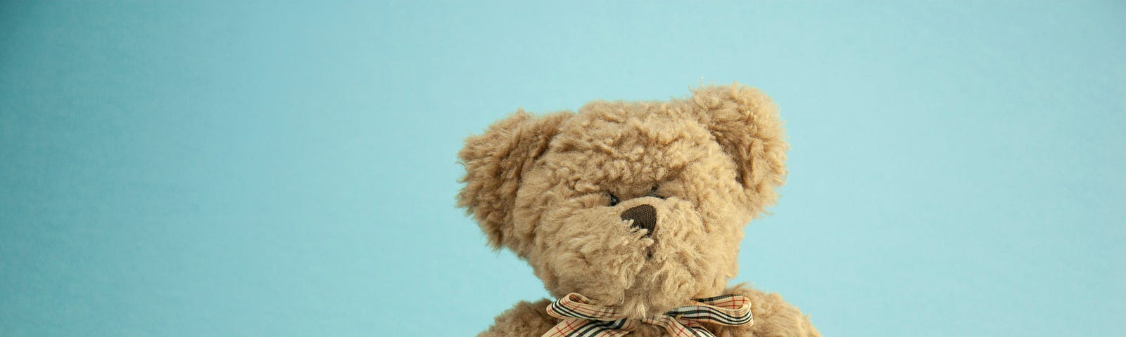 A soft toy teddy bear