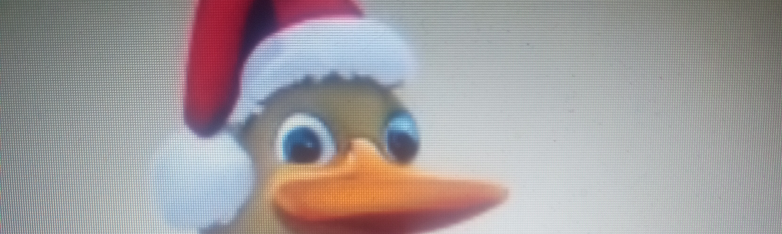 Ducks with Christmas hats