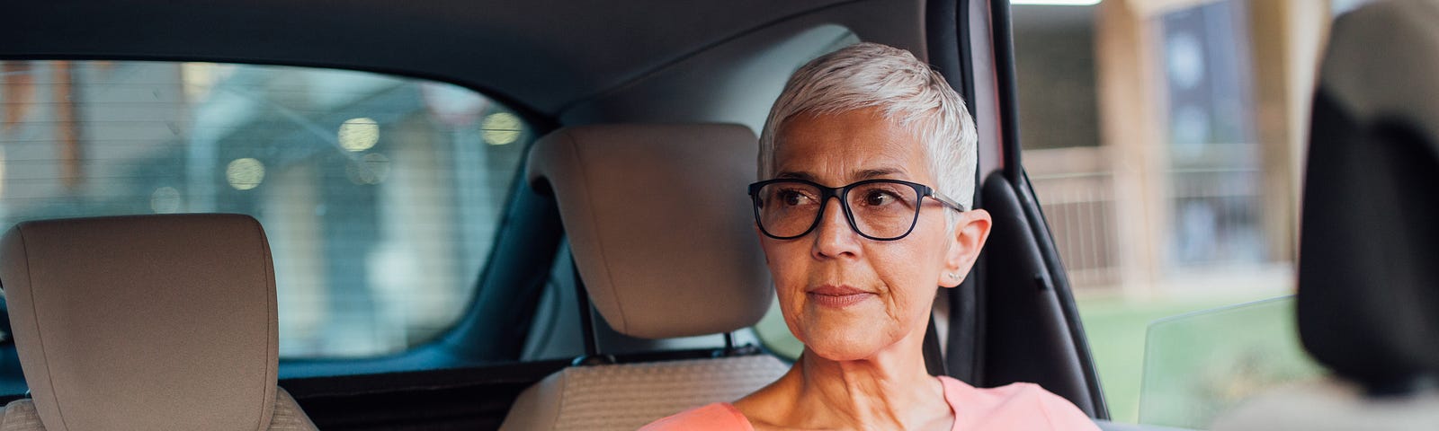 horthair businesswoman sitting on the back seat