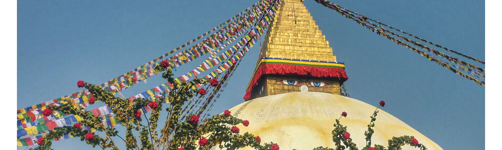 A view of the Buddhist Stupa