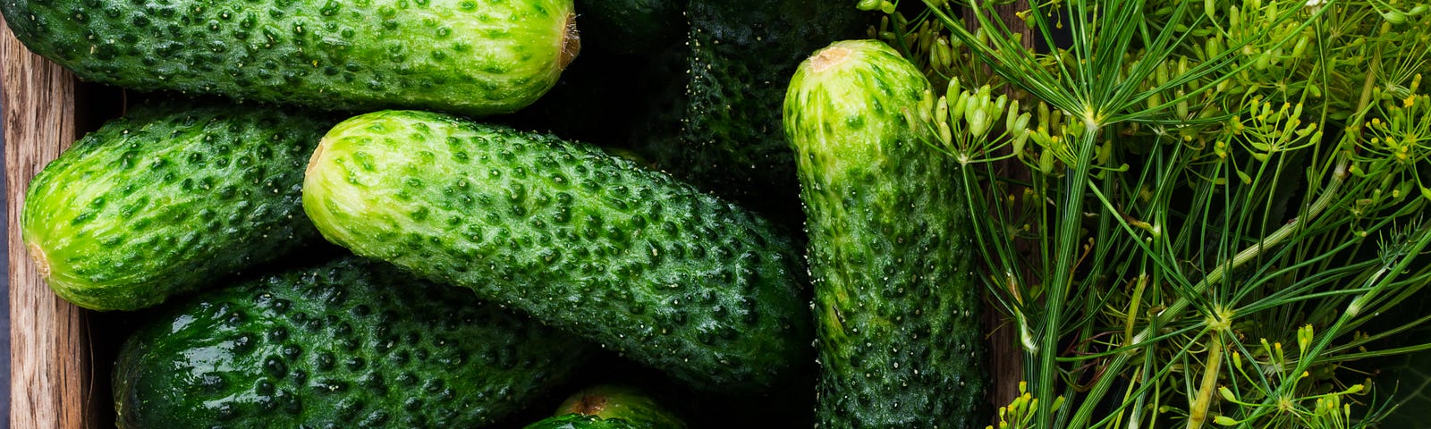 Overhead shot of a rustic square wooden basket filled with cucumbers and a bunch of fresh dill tied with a piece of twine.