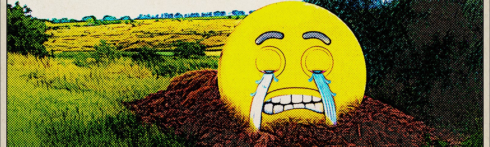 Crying emoticon stuck in shit pile