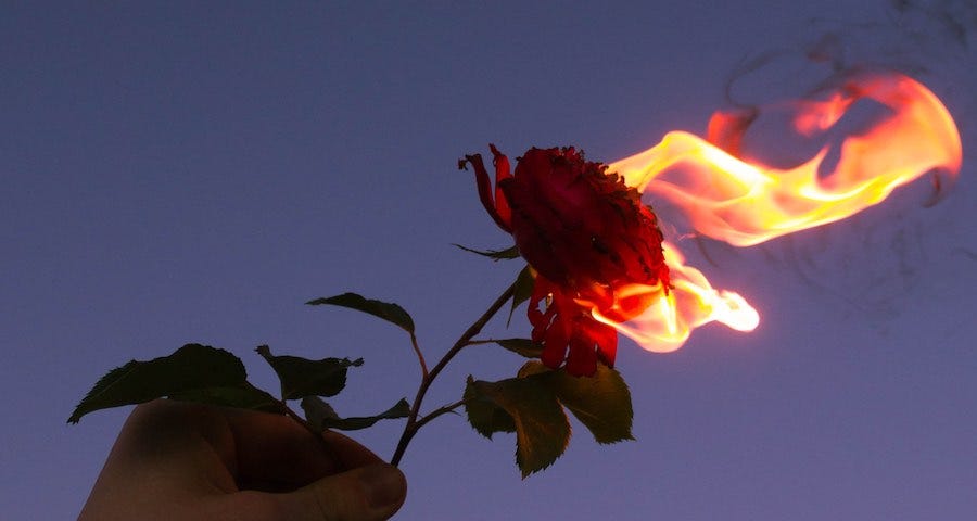 Hand holding a flaming rose