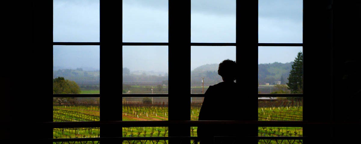 A silhouetted woman looks out a window at a vineyard at a Napa winery.