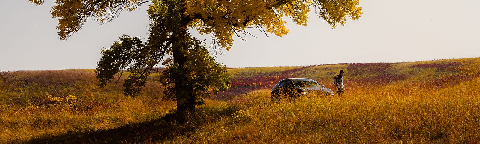 My car and I sit under an orange, beautiful oak tree amidst the glaciated hills and prairie of southwest Minnesota.