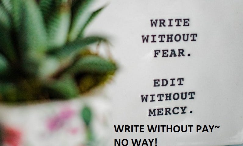 Image shows a plant pot with a Zebra Cactus and mug that says, “WRITE WITHOUT FEAR. EDIT WITHOUT MERCY.” I added, “WRITE WITHOUT PAY~NO WAY!”