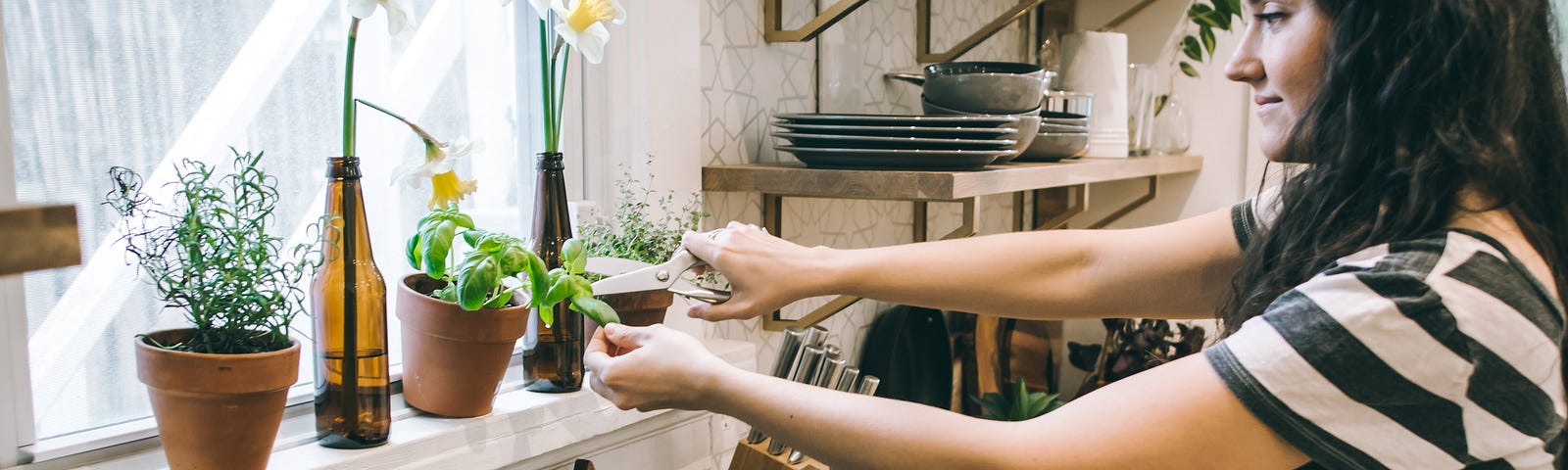 A person snipping a piece off of an herb that’s in a flowerpot on the windowsill above the stove they’re cooking at.