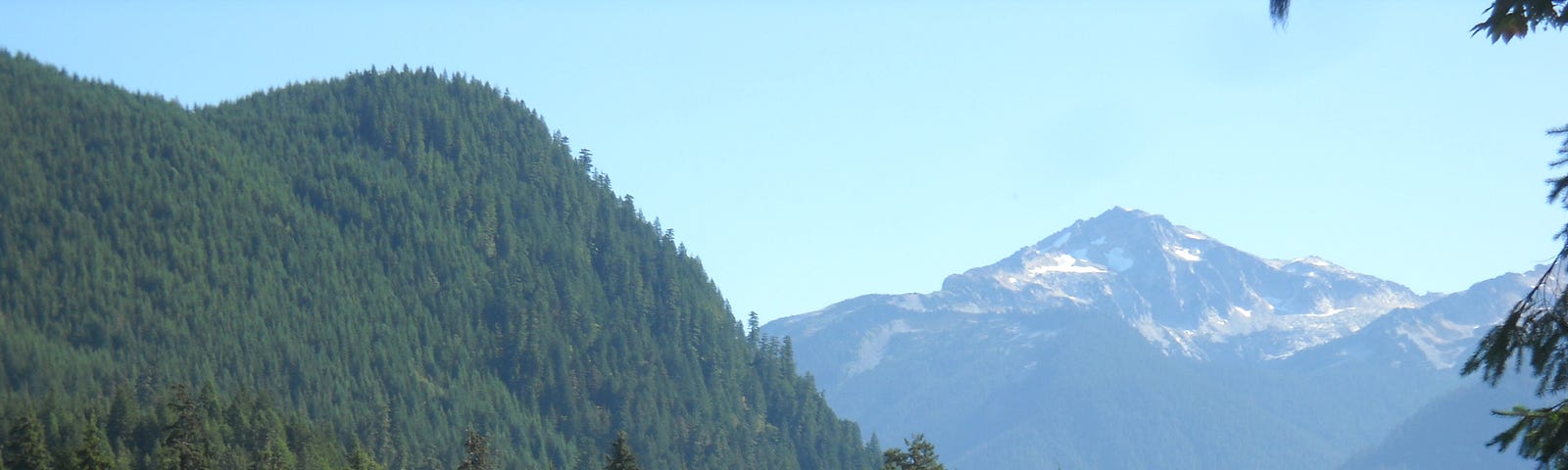 a distant mountain with some snow on it, a closer forested hill, and a tree-lined lakefront