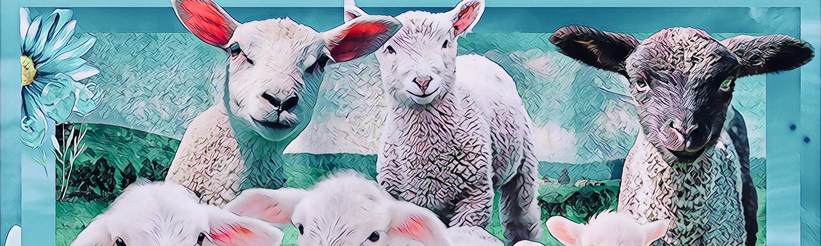 A group of different breeds of lambs staring at the reader, over a varied pastel blue and green background