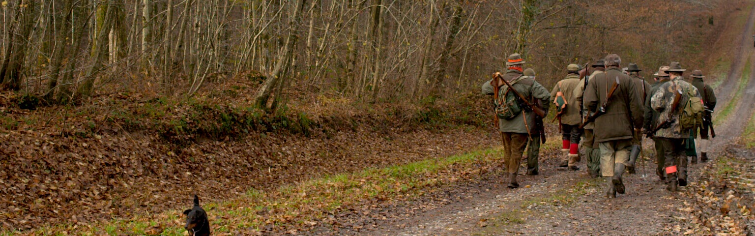 A group of trackers heading into the forest.