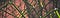 Green rope meshwork