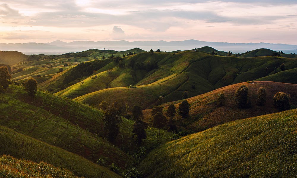Gradient Descent — A Beginners Guide