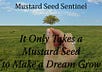 Mustard Seed Sentinel