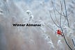 Winter Almanac