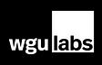 wgu labs lxd team