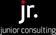 Junior Consulting