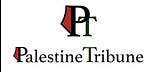 PalestineTribune