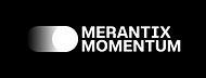 Merantix Momentum Insights