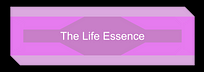 The Life Essence