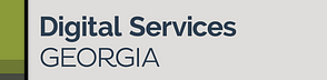 Digital Services Georgia
