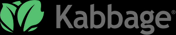 Kabbage UX