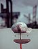 Lucky Peach