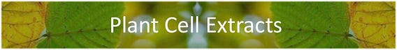Plant Cell Extracts