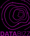 Databizz