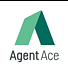 Agent Ace