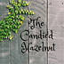 TheCandiedHazelnut