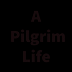 A Pilgrim Life