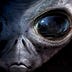 Alien Movie Reviews