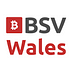 Bitcoin SV Wales
