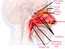 Pharmacological science and pathophysiological science make the backbone of drug discovery and treatment