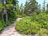 Exploring Acadia National Park