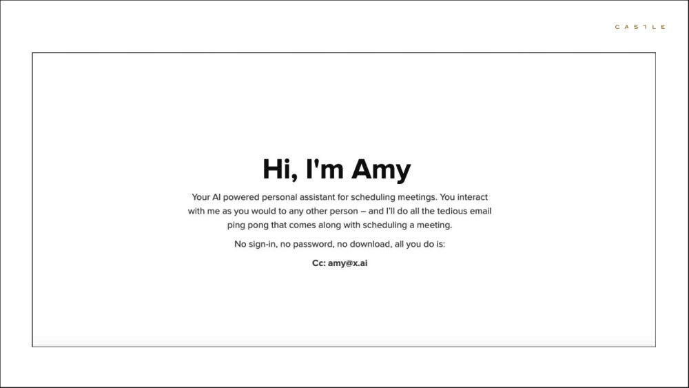 Text from website that introduces Amy