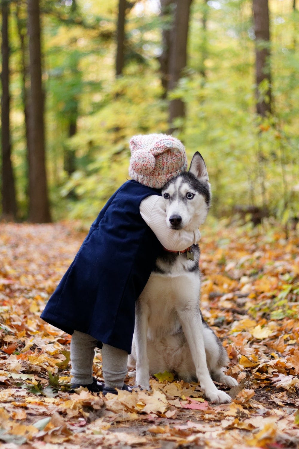 Toddler hugging a dog