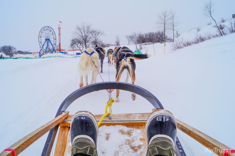 Dog Sledding at Quebec Winter Carnival