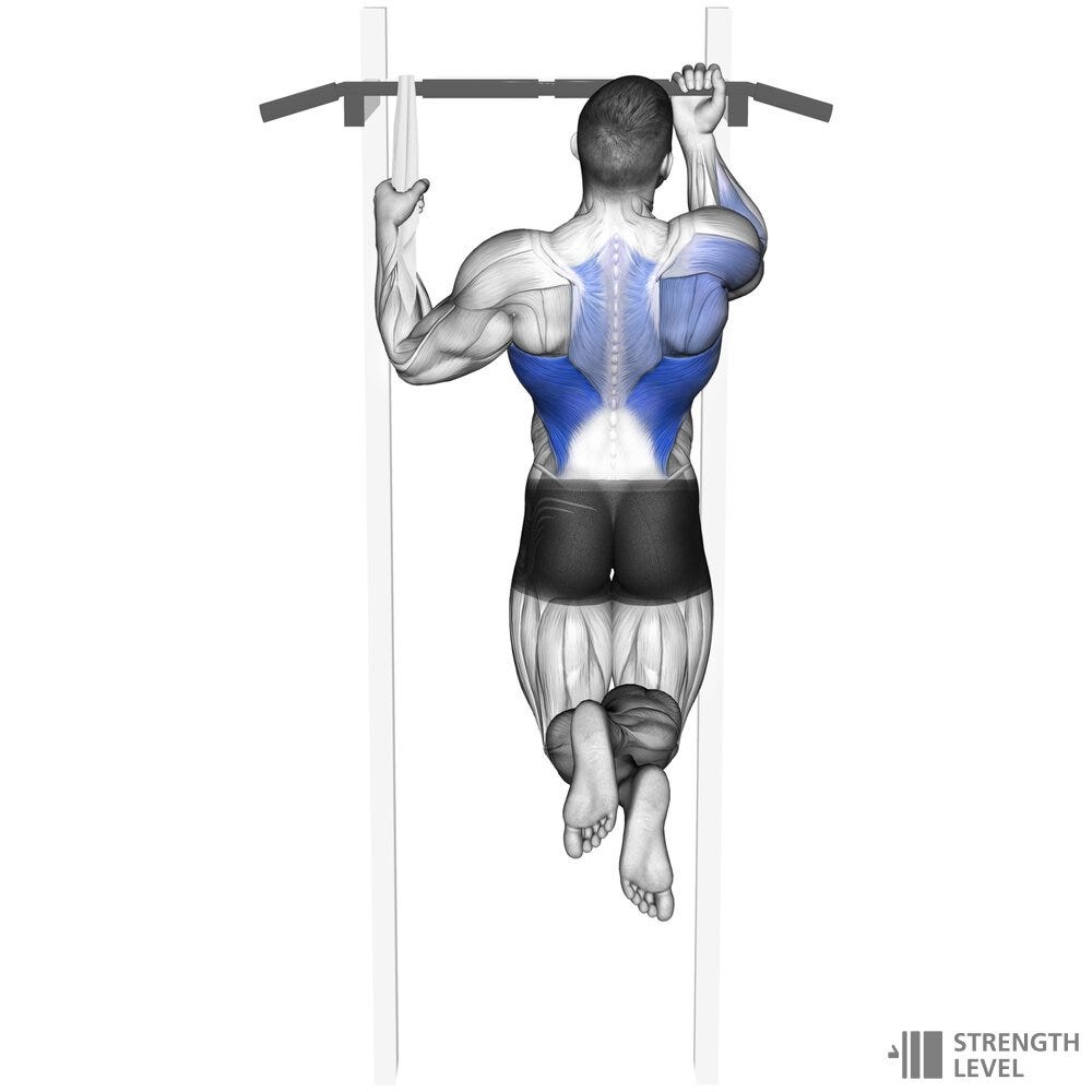 Advanced calisthenics moves: one-arm pull-ups