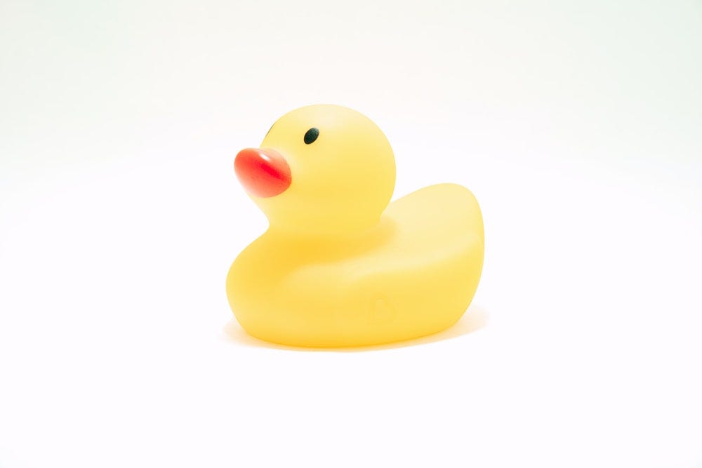 rubber duck