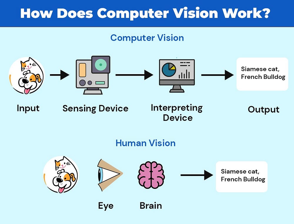 Deep Model for Vision
