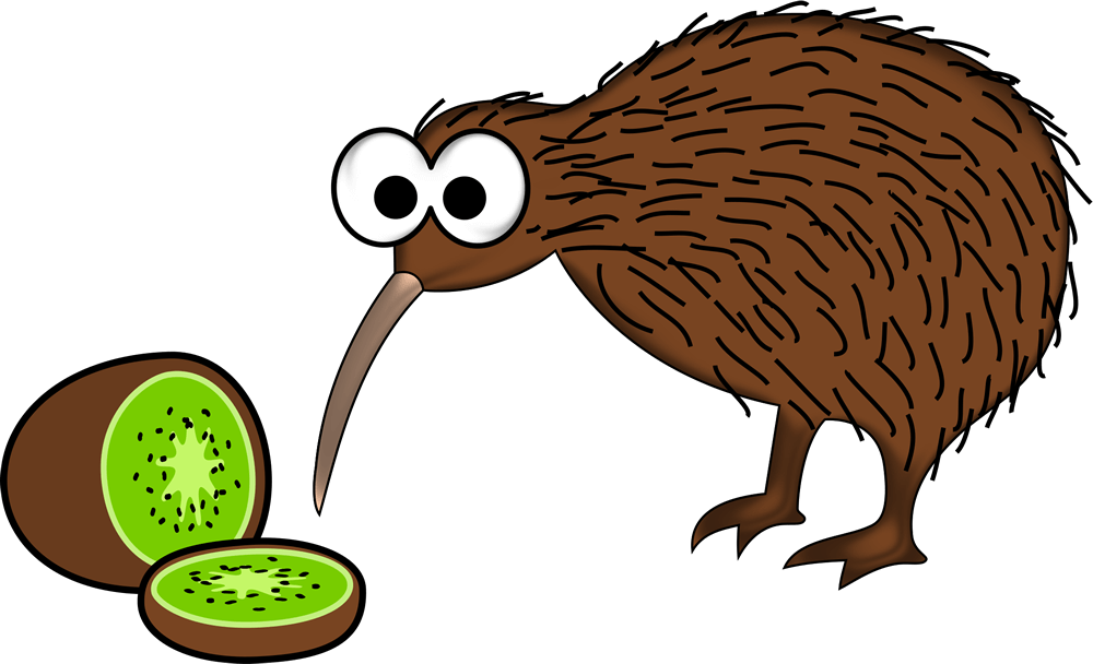Kiwi fruit with the Kiwi bird from New Zealand