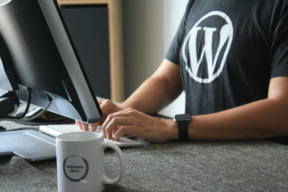 Decorative image of a WordPress user