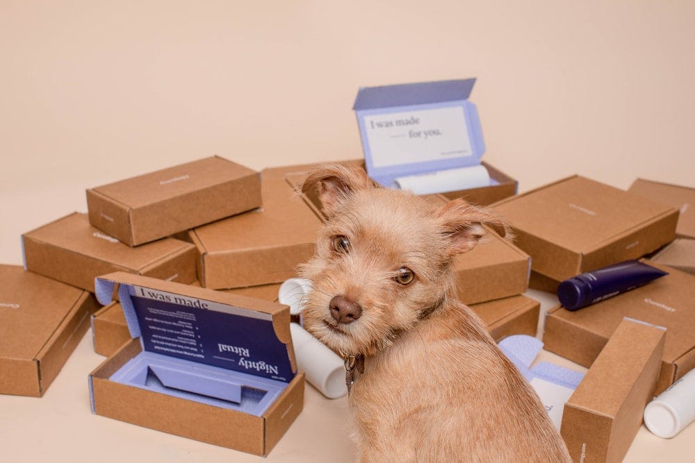 A brown puppy is looking backward at the camera while sitting in front of a lot of boxes. Photo by Curology on Unsplash.